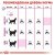 Royal Canin Aroma Exigent сухий корм для вибагливих котів_3