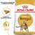 Royal Canin Bengal сухий корм для котів породи Бенгал_1