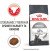 Royal Canin Dental сухий корм для котів, для зубів_1
