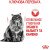 Royal Canin Dental сухий корм для котів, для зубів_2