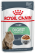 Royal Canin Digest Sensitive влажный корм для котов с чувствительным пищеварением