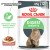 Royal Canin Digest Sensitive вологий корм для котів з чутливим травленням_4