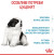 Royal Canin Puppy Giant сухой корм для щенков гигантских пород_3