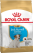 Royal Canin Puppy Jack Russel сухой корм для щенков породы Джек Рассел
