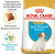 Royal Canin Puppy Jack Russel сухой корм для щенков породы Джек Рассел_1
