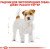 Royal Canin Jack Russel Terrier сухий корм для собак породи Джек-рассел-тер'єр_4