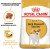Royal Canin Jack Russel Terrier сухий корм для собак породи Джек-рассел-тер'єр_3