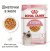 Royal Canin Kitten вологий корм для кошенят, в желе_1