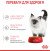 Royal Canin Kitten вологий корм для кошенят, в желе_2