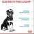Royal Canin Puppy Maxi 12+3 кг сухий корм для цуценят великих порід_2
