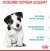 Royal Canin Puppy Mini сухий корм для цуценят мініатюрних порід_4