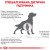 Royal Canin Mobility Support сухий корм для собак з захворюванням опорно - рухового апарату_2