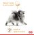 Royal Canin Pomeranian сухой корм для собак породы Померанский шпиц_1