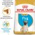 Royal Canin Puppy Pug сухой корм для щенков породы Мопс_1