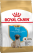 Royal Canin Puppy Pug сухой корм для щенков породы Мопс