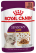 Royal Canin Sensory Taste влажный корм для привередливых котов, в соусе