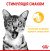 Royal Canin Sensory Taste вологий корм для вибагливих котів, в соусі_3