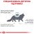 Royal Canin Skin and Coat сухой корм для котов при дерматозах и выпадении шерсти_2