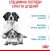 Royal Canin Starter Mother and Babydog Medium сухий корм для вагітних собак та цуценят середніх порід від 1 до 2 місяців_2