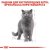 Royal Canin British Shorthair 3.2+800 г сухой корм для котов породы Британская короткошерстная_3