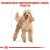 Royal Canin Poodle сухой корм для собак породы пудель_1