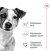 Royal Canin Mini 1.6+400 г сухий корм для собак мініатюрних порід_1