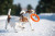 Collar PitchDog кільце для собак, помаранчеве_2