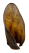Ухо Говяжье