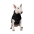Pet Fashion Big Boss_2