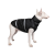 Pet Fashion Big Boss_1
